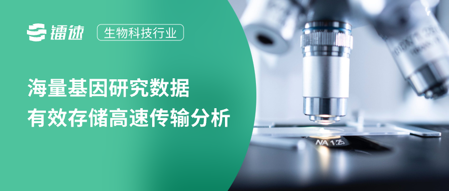 速盈注册|构建生物医学科技桥梁:速盈娱乐客户案例分享